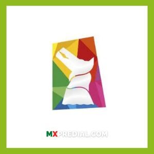 ¿Dónde se puede obtener ayuda para pagar el impuesto predial en Nezahualcóyotl de Estado de México en línea?